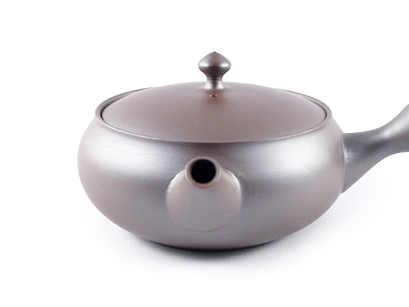 Titanium Tea Kettle